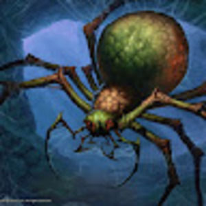 Meet your Posher, Yog